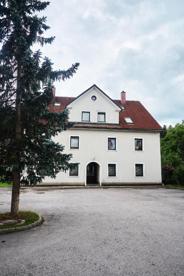 Matic Spacious Modern Apartment Ljubljana Bagian luar foto